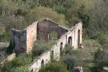Fototapeta na wymiar antigua fabrica en ruinas entre la vegetacion