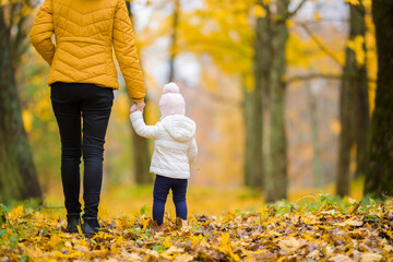 Young adult mother and little daughter walking on yellow fallen leaves in forest. Golden autumn. Spending time together in beautiful day. Enjoying peaceful stroll. Back view. - Powered by Adobe