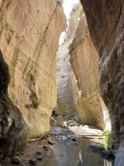  Gorge in zion national park. Beautiful nature. Landscape. Canyon. Mountain. Cliff 