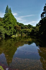 Japan pictures, typical japanese traditional lifestyle, trees ans nature in japan 
Beautiful selection of high quality photography in Hokkaido, Tokyo, Osaka, Kyoto, Kawagushiko, Sakurajima and Okinawa