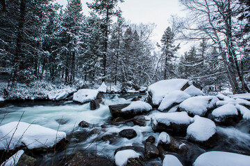 Winter river in Capcir, Cerdagne, Pyrenees, France