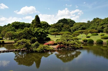 Obraz premium Japan pictures, typical japanese traditional lifestyle, trees ans nature in japan Beautiful selection of high quality photography in Hokkaido, Tokyo, Osaka, Kyoto, Kawagushiko, Sakurajima and Okinawa