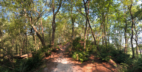 Fototapete bei efototapeten.de bestellen   