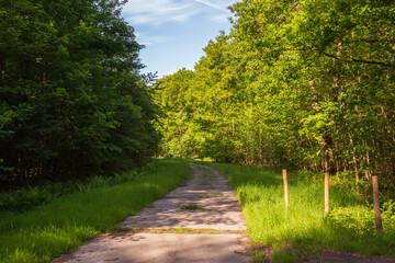 Fototapeta premium Images in and around the Second World War Prisoner of War Camp at Zedlegem in Belgium