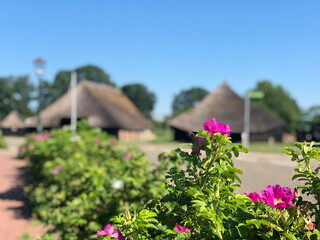 Fototapete bei efototapeten.de bestellen   