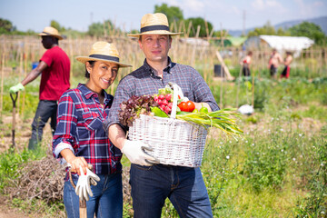 Happy couple of farmers posing with basket of ripe vegetables on the field