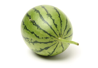 watermelon on a white background