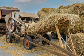 Battage du blé à l'ancienne
