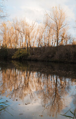 Autumn landscape by the river. Orange leaves and blue colors. Outdoors.