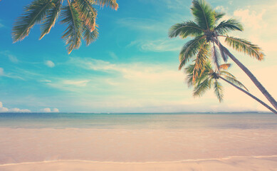 Fototapeta na wymiar Caribbean sea and green palm trees on white tropical beach.