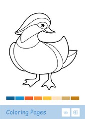 Colorless contour image of a mandarin duck isolated on white and suggested palette. Wild birds preschool kids coloring book illustrations and developmental activity