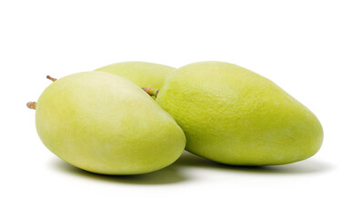 Mango on a white background