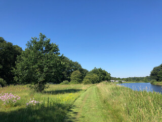 Fototapete bei efototapeten.de bestellen   