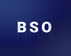 BSO	- Brueckner Spin Orbitals
acronym, modern and minimalist concept background