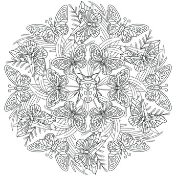 butterfly mandala black and white vector illustration