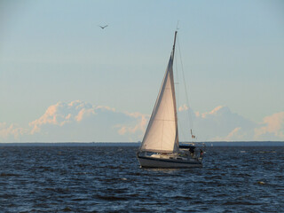 Obraz premium sailboat on the sea