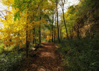 Hiking Trail in Minnesota During The Autumn Season