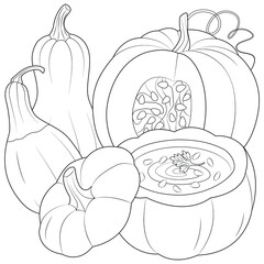 Pumpkin soup and pumpkins vector