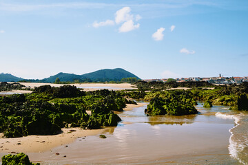 Fototapete bei efototapeten.de bestellen   