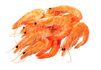 shrimps on a white background