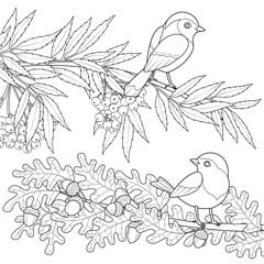 Two birds on the branches black and white vector illustration