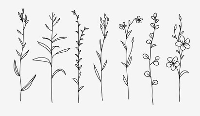 Naklejka premium One line drawing. Set of herbs and wild flowers. Hand drawn sketch. Vector illustration.