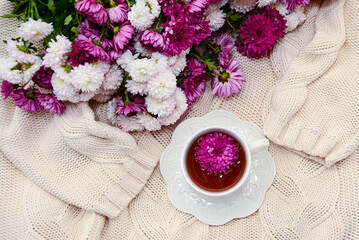 Obraz na płótnie Canvas Cup of tea on a plate with chrysanthemums on white pullover top view.
