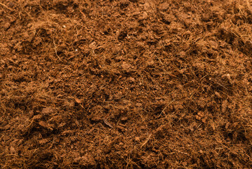 Coconut substrate background.