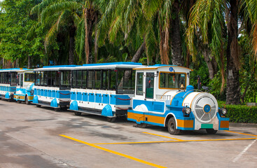 Excursion train in the Park for tourists under the palms