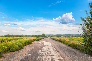 Cracked road in fields