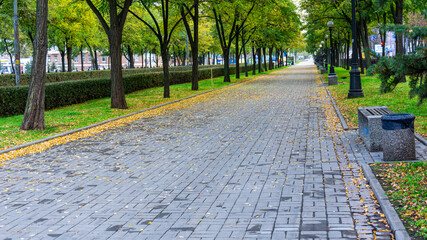 Empty street due to pandemic COVID-19