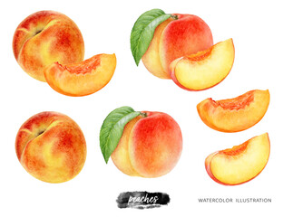 Peach fruit set whole and slice watercolor illustration isolated on white background