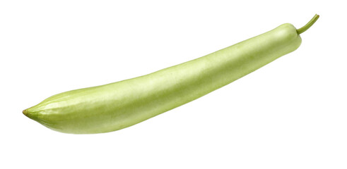 Lagenaria siceraria isolated on white background