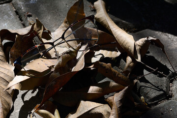 Eyeglasses on natural background. Lifestyle concept.