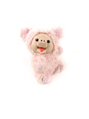 Pig plushie doll isolated on white background , Hog plush stuffed puppet ,
