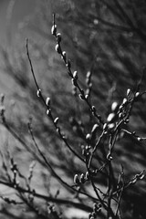 barbed wire against the sky