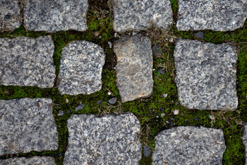 High quality street slabs texture. P.S. Cigarettes and gums are not included! (300dpi, 6000x4000)