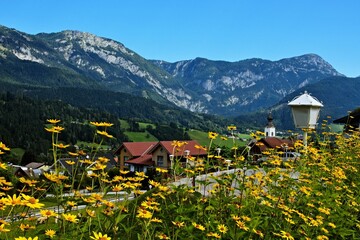 Austrian Alps-view on the massif of Dachstein from Haus im Ennstal