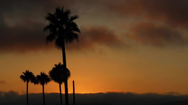 Orange sunset timelapse - sunset with palm trees timelapse - california vibes - Timelapse in Ensenada Baja California