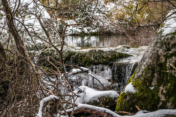 Frozen and snowy tree branches and vegetation by the small stream contained by mossy stones