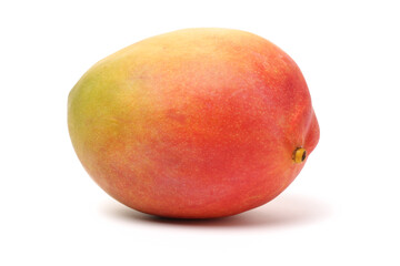 mangos on a white background