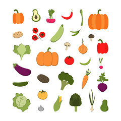 Vector set of vegetables - corn, pumpkin, potato and others. Organic vegetables in cartoon flat style. Vegetarian concept.