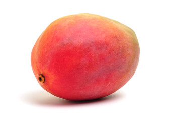 mangos on a white background