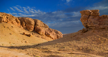 Fototapeta premium Desert under mountains