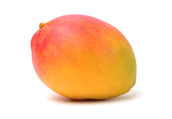 mangos on a white background
