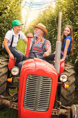 Farmer grandpa driving grandchildren tractor through his orchard