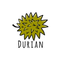 Durian, sketch for your design