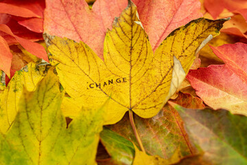 Change Chance Stempel auf bunten Blättern im Herbst 