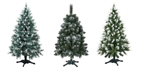 Traditional christmas trees with snowy branches on stand without seasonal decoration isolated