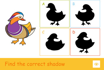 Find the correct shadow quiz learning children game with a mandarin duck and four silhouette shadows for the youngest children. Learning of birds and herbivores for kids